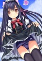 しゅらばら！～天弓院真愛～　こうでしょうかニャ？ 猫耳つけてみました/pokelove