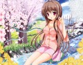 春が来たら・・・/たかたか
