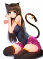 にゃん看板娘