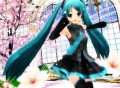 我が家のらぶさん　その⑧