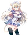 ご注文は・・・?