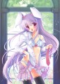 ♥♥うどんげ♥♥/草草饅