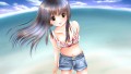 夏っ！/月野美夕