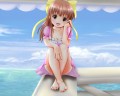 過ぎ去りし夏/月野美夕