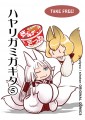 ハヤリガミガキタ5