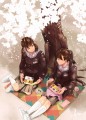 フタリサクラ